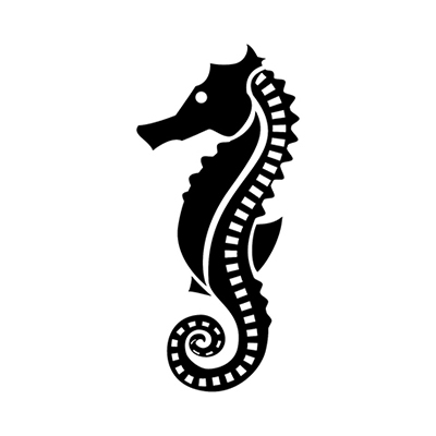 seahorse